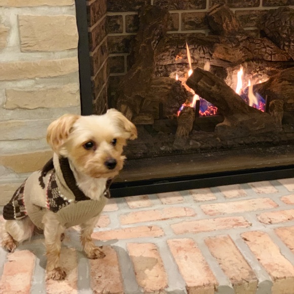 Dog Clothes- Small - Picture 3 of 5